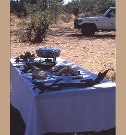 Ihre Verpflegung ist schmackhaft, vielfältig & abwechslungsreich. Picknick-Lunches mitten im Busch sind zusätzliche Highlights.