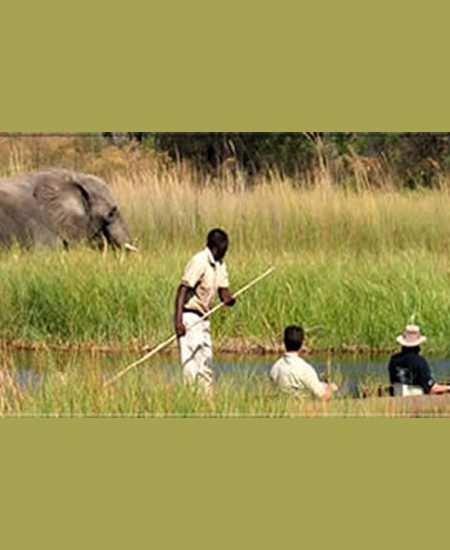 Im Okavango Delta erleben Sie Tierbeobachtungen vom "Mokoro" (Einbaum) aus. botswana-mokoro