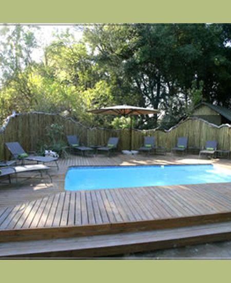 Ja, Safaritage sind anstrengend: frühes Aufstehen und lange Nächte.. So verlocken die heißen Mittagsstunden zu Ruhe und Müßiggang - z.B. am Pool... botswana-moremicrossing-pool