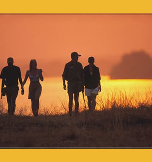 Dieses sind die unvergeßlichen Momente
eines Tages in Botswana. Wen wundert es da noch, daß so viele
Besucher dem Busch und seinem Zauber
erliegen...?