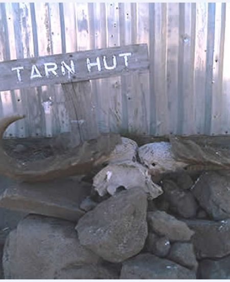 Tarn Hut - eine der
Übernachtungsstationen liegt bereits in
über 4000 Höhenmetern... tansania-kilimandscharo-tarn-hut