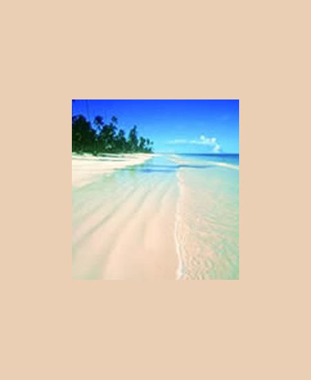 Bisher haben wir Ihnen ja noch das Beste
vorenthalten: die Strände von Zanzibar
bedürfen keines weiteren Kommentars..! tansania-sansibar-beach