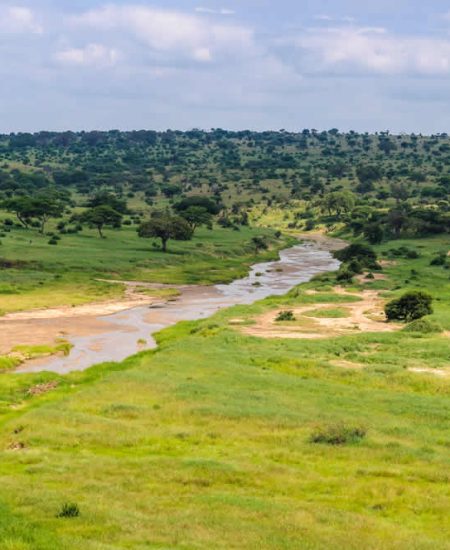tansania-tarangire-fluss