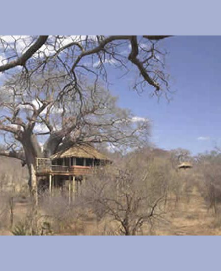 tansania-tarangire-tree-tops-chalet
