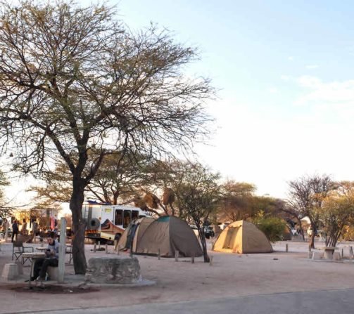 Die im Etosha Park liegenden Restcamps (kleine Unterkunfts-Döfer) bieten auch zahlreiche Stellplätze für Camping-Reisende.