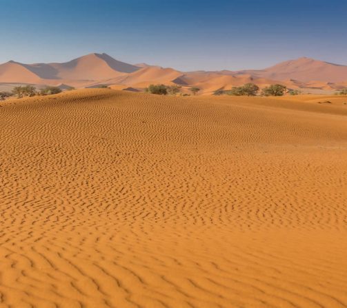 Die älteste Wüste der Welt - die Namib! Hier liegt auch das beühmrte Sossosvlei.