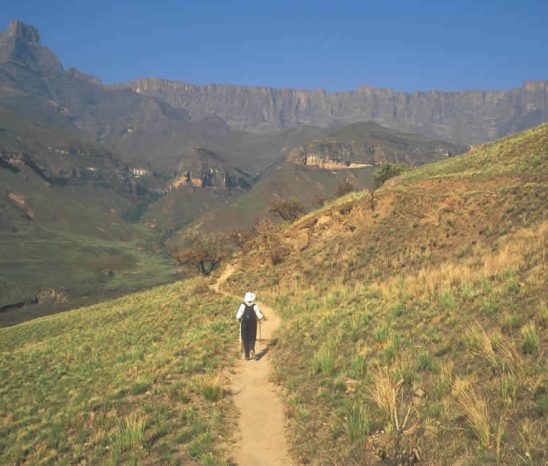 Am schönsten ist es, die Berge ein wenig zu erkunden. Auf "Schusters Rappen" ist das für
jeden Besucher auf endlosen Kilometern von Wanderwegen möglich. suedafrika-drakensberge-wanderung