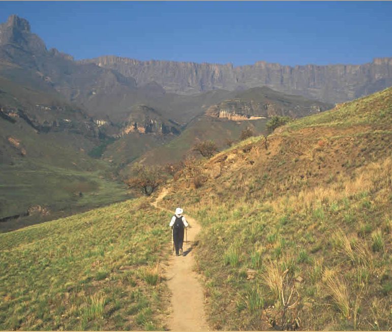 Wanderwege führen in schwindelerregende
Höhen.
Reizvoll sind die drastischen Kontraste
zwischen üppiger Vegetation und
schroffen Gipfeln. suedafrika-drakensberge-wanderung