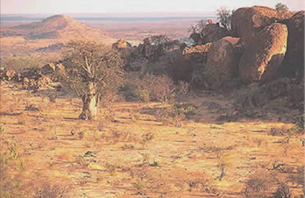 Eine ganz andere Szenerie erwartet Sie
jenseits der Grenze in Botswana. Der Busch ist trockener, das Gelände
bergig & schroff. Ein ideales Terrain für große Elephantenherden, zahlreiche Katzen
und viele Antilopenarten. suedafrika-mashatu-ausblick
