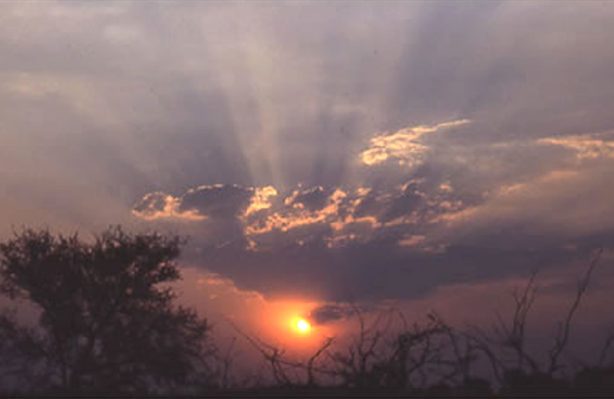 Jeder Tag in Südafrika steckt voller
Erlebnisse, Erfahrungen, Eindrücke und
Wunder. Die Sonnenuntergänge sind
zumeist magisch und bleiben unvergessen. suedafrika-mashatu-sonnenuntergang