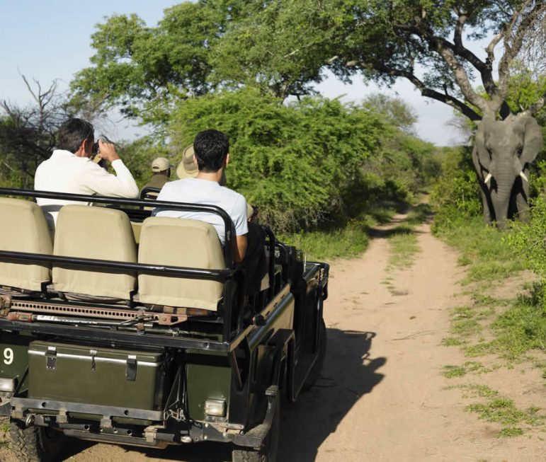 Wildbeobachtungsfahren - im Krüger
Nationalpark fahren Sie mit ihrem
eigenen Pkw, in den privaten
Wildschutzgebieten im offenen
Geländewagen mit Ihrem Wildhüter. suedafrika-pirschfahrt-elephant