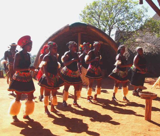 KwaZulu-Natal ist die historische Heimat
des Zulu Volkes. Besuchen Sie einen authentischen Kraal und erfahren Sie Viel über die Geschichte der Zulu. suedafrika-shakaland-saenger