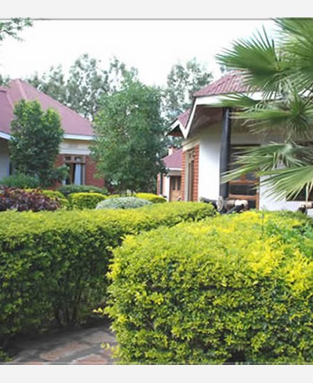 tansania-karatu-bougainvillea-lodge