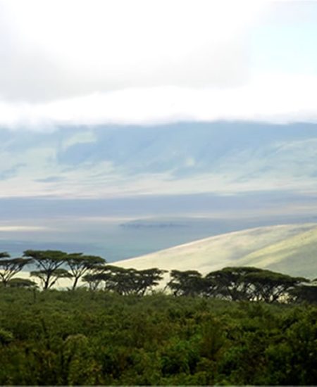 tansania-ngorongoro-krater-haenge
