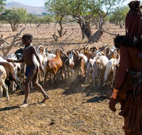 Das Kaokoveld - Heimat der Himba, denen Sie unterwegs immer einmal begegnen können.