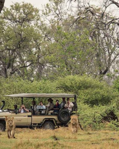 Botswana besticht durch sehr unterschiedliche Landschaften. So durchqueren Sie Waldgebiete...