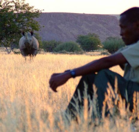Höhepunkt Fußsafari: Ihr Guide lehrt Sie im Spurenlesen.